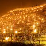 Abbazia Novacella - candele riscaldanti proteggono vigne dal gelo - aprile 2024