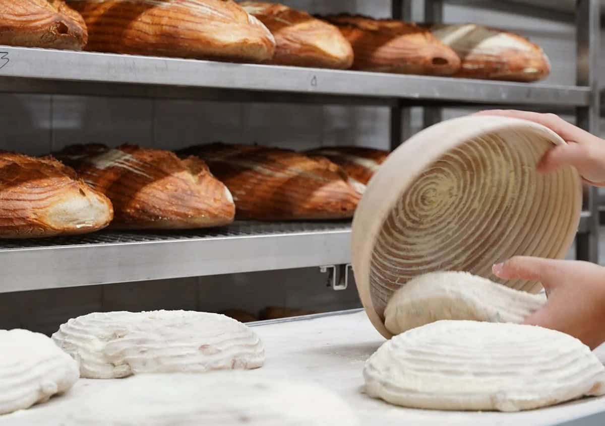 Cinque grandi panifici si uniscono e aprono un franchising di forni moderni: arriva Breaders