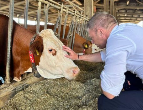 "Come capire se una mucca sta bene? Chiedetelo a lei". Il ministro Lollobrigida fa infuriare vegani e animalisti