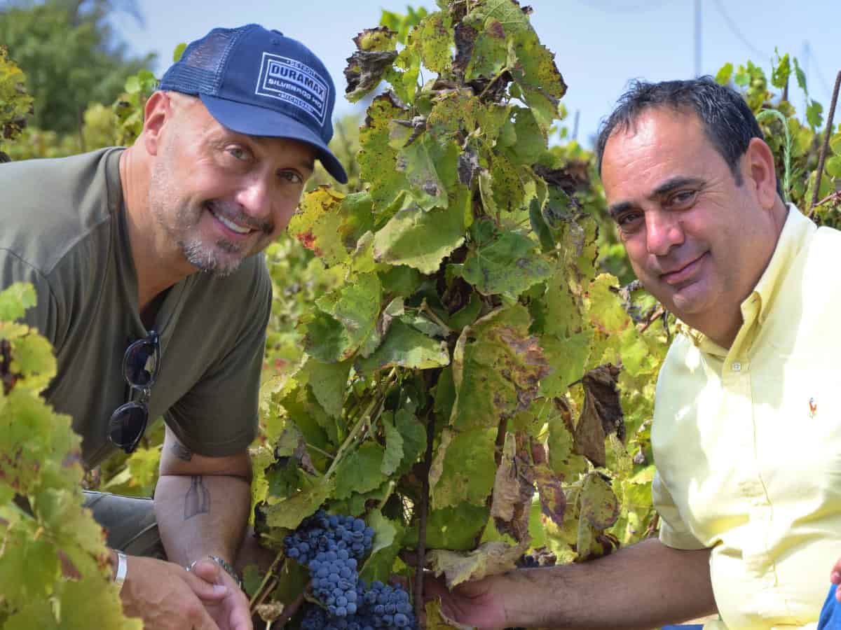 Joe Bastianich produrrà vino in Sicilia insieme a una grande azienda di olio. Ecco il progetto