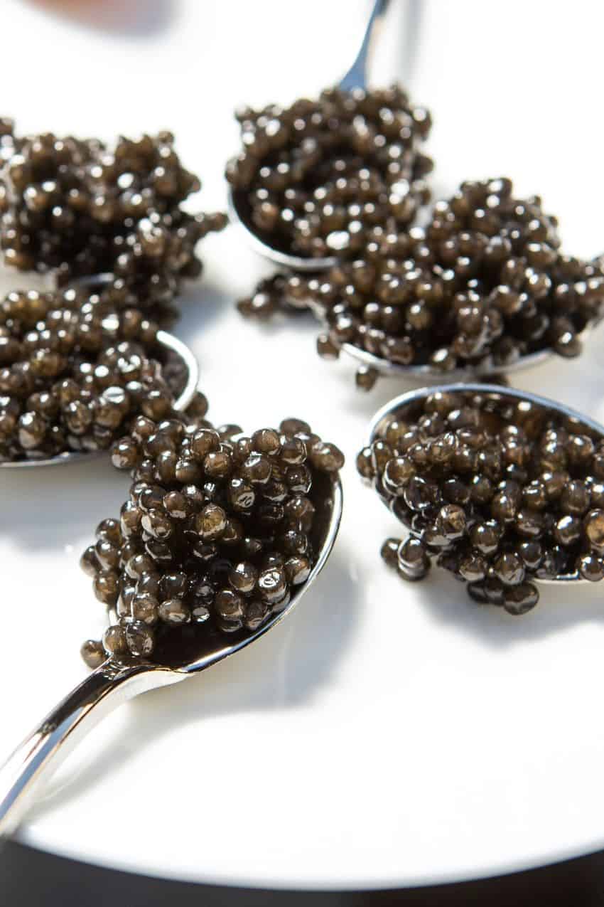 Caviale Calvisius