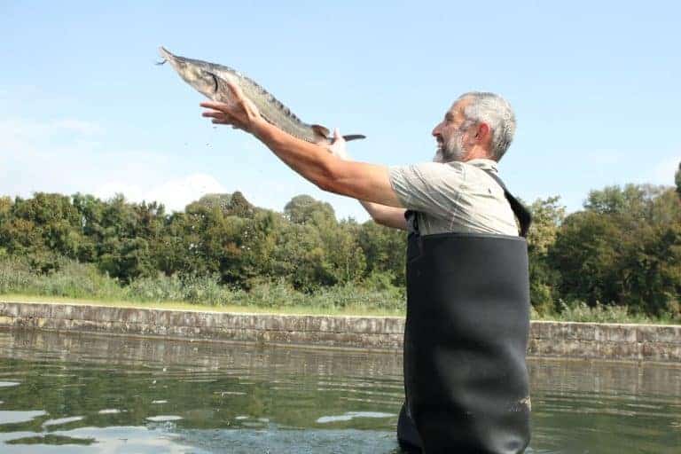 Cru Caviar - Saverio Bertinazzi