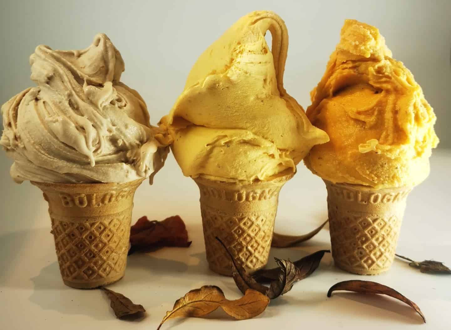 La gelateria moderna che spopola lontana dalle zone turistiche di Bologna