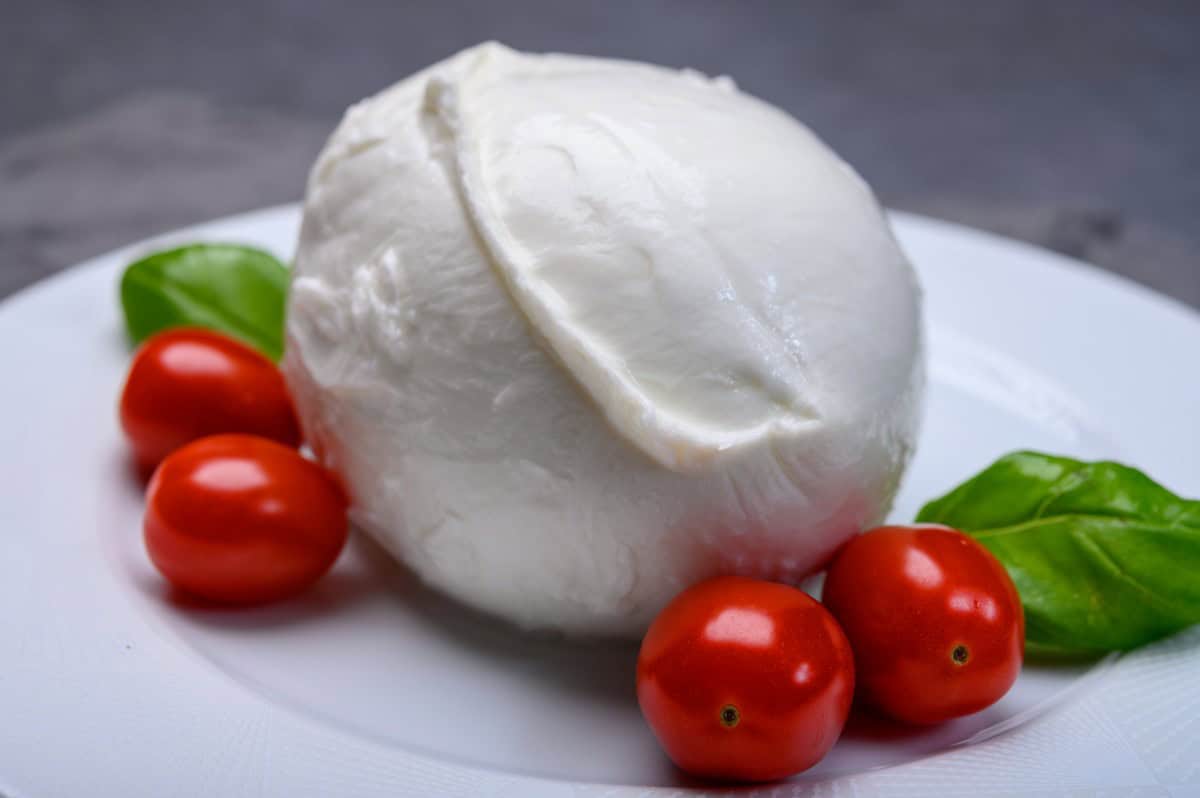 Mozzarella di Bufala Campana Dop al via la scuola di formazione