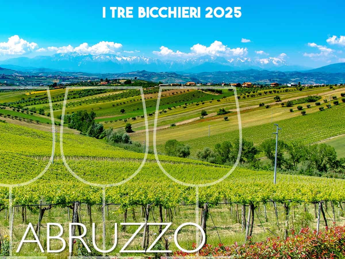 Tre Bicchieri 2025, i migliori vini dell