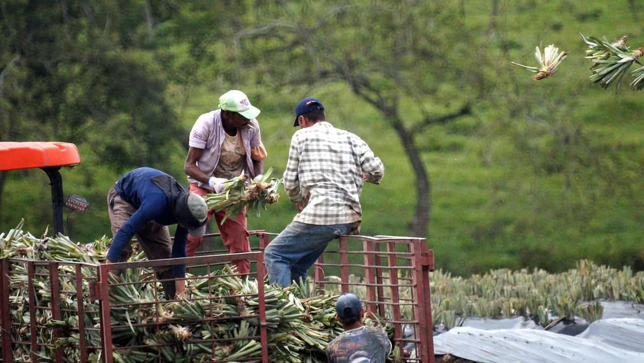 Altro che Sud, c'è tanto Nord nella geografia del caporalato: la schiavitù moderna sempre più diffusa in Veneto