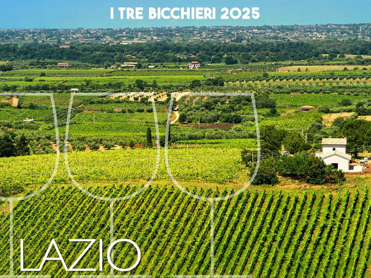 Vendemmia 2024 