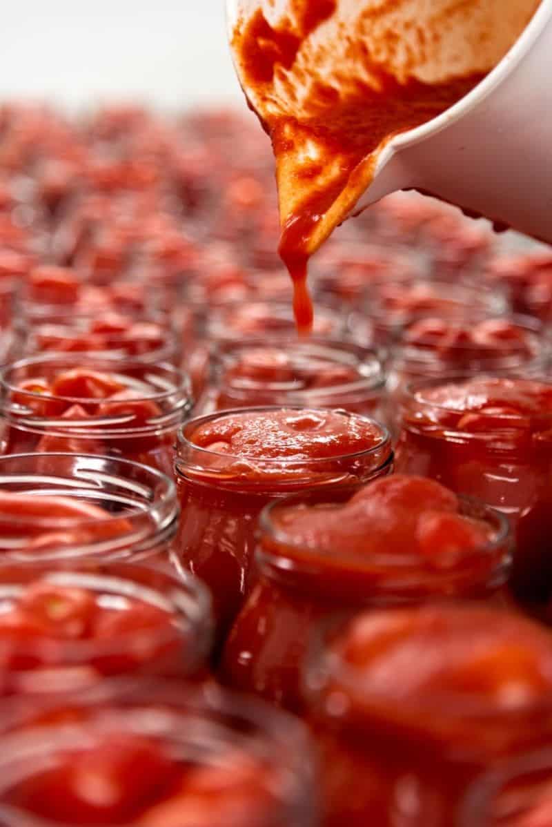 Trasformazione di pomodori San Marzano Miracolo di San Gennaro