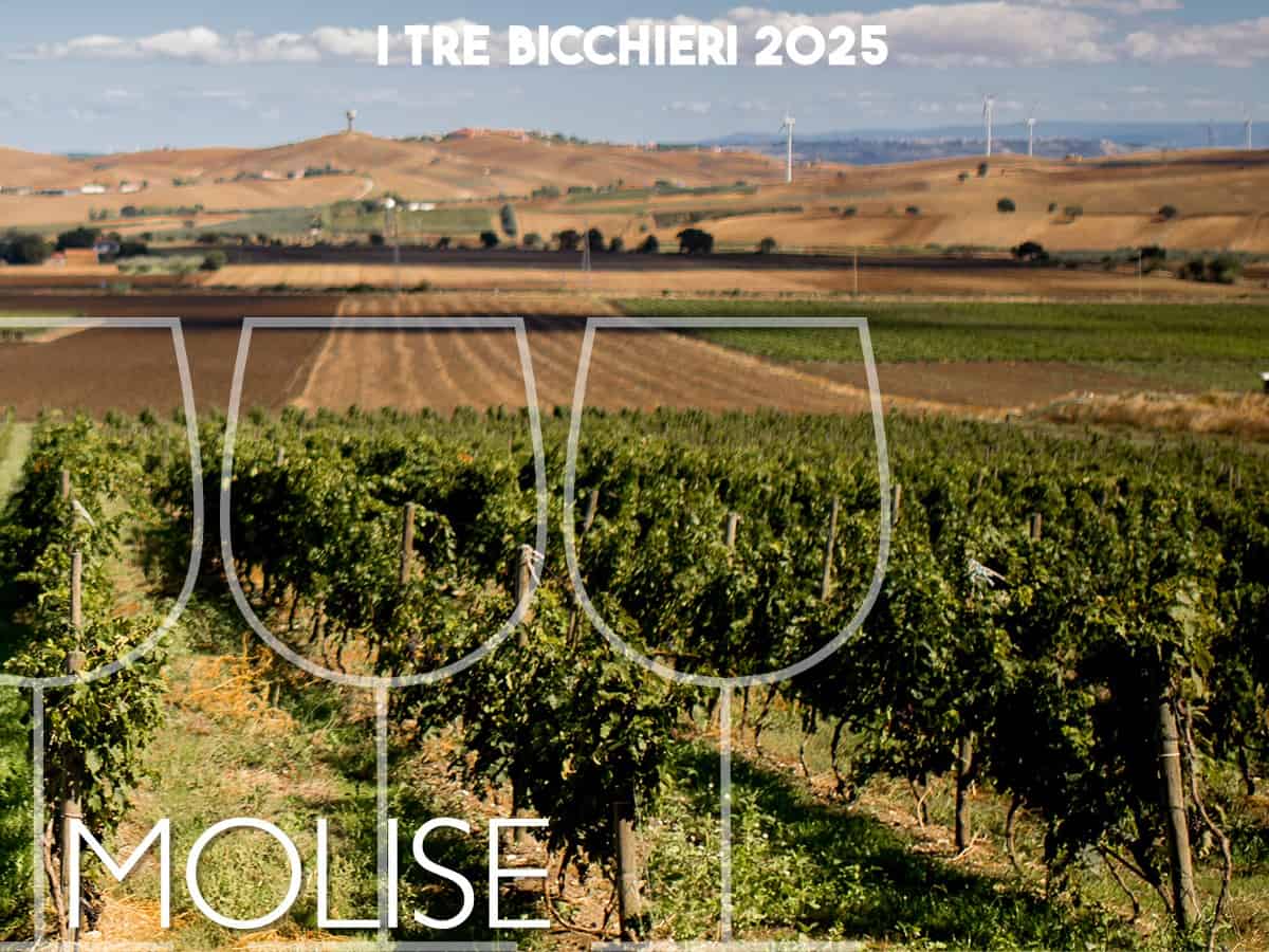 Tre Bicchieri 2025, i migliori vini del Molise premiati dal Gambero Rosso