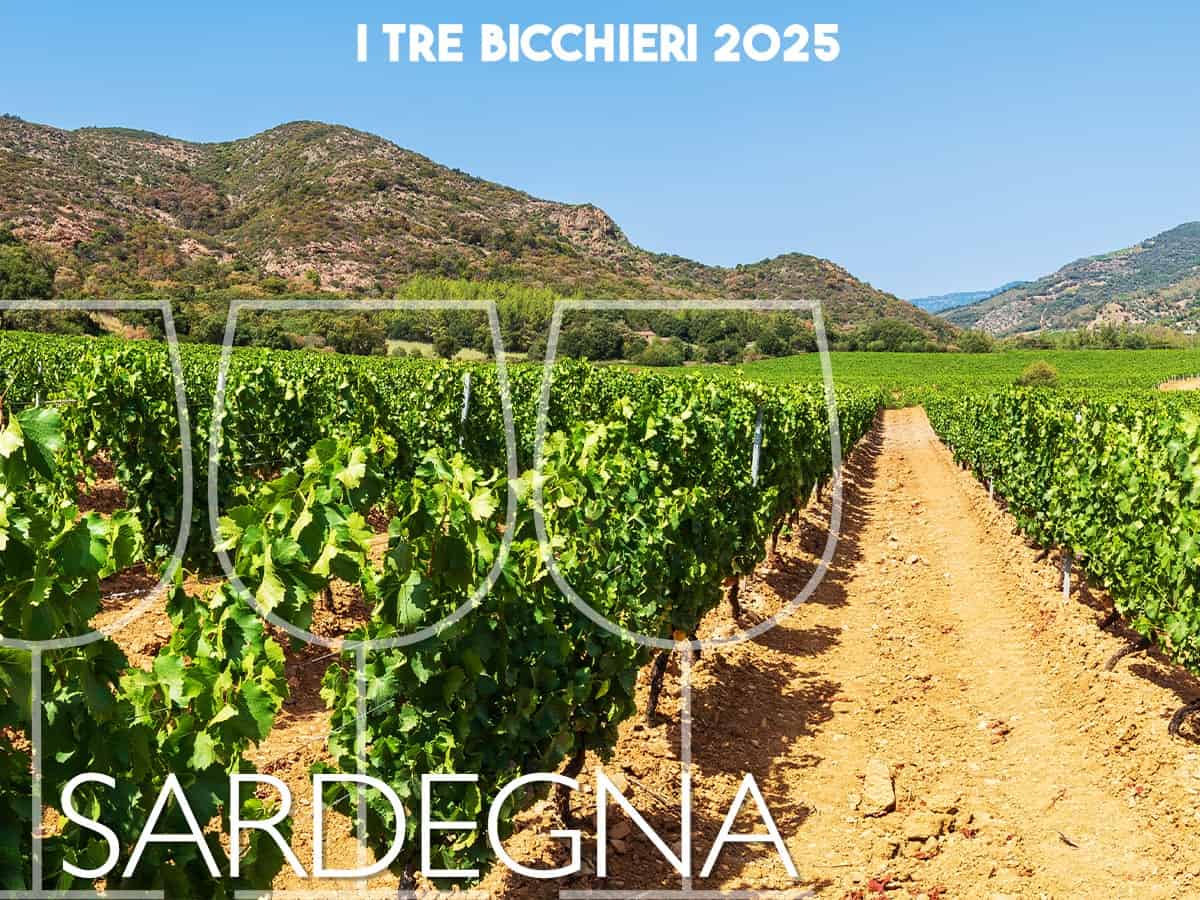 Vendemmia 2024 