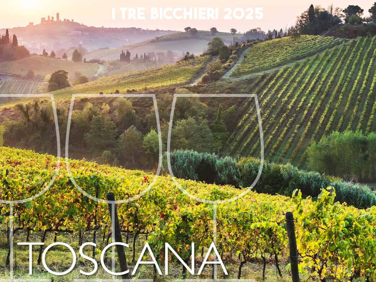 Tre Bicchieri 2025, i 91 migliori vini della Toscana premiati dal Gambero Rosso