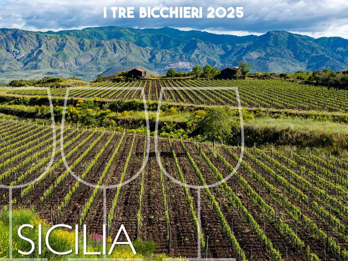 Tre Bicchieri 2025, i migliori vini della Sicilia premiati dal Gambero Rosso