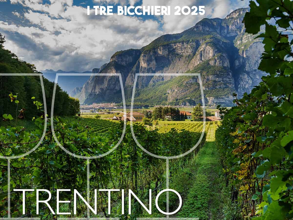 Tre Bicchieri 2025 I 13 Migliori Vini Del Trentino Premiati Dal Gambero Rosso Gambero Rosso 1813