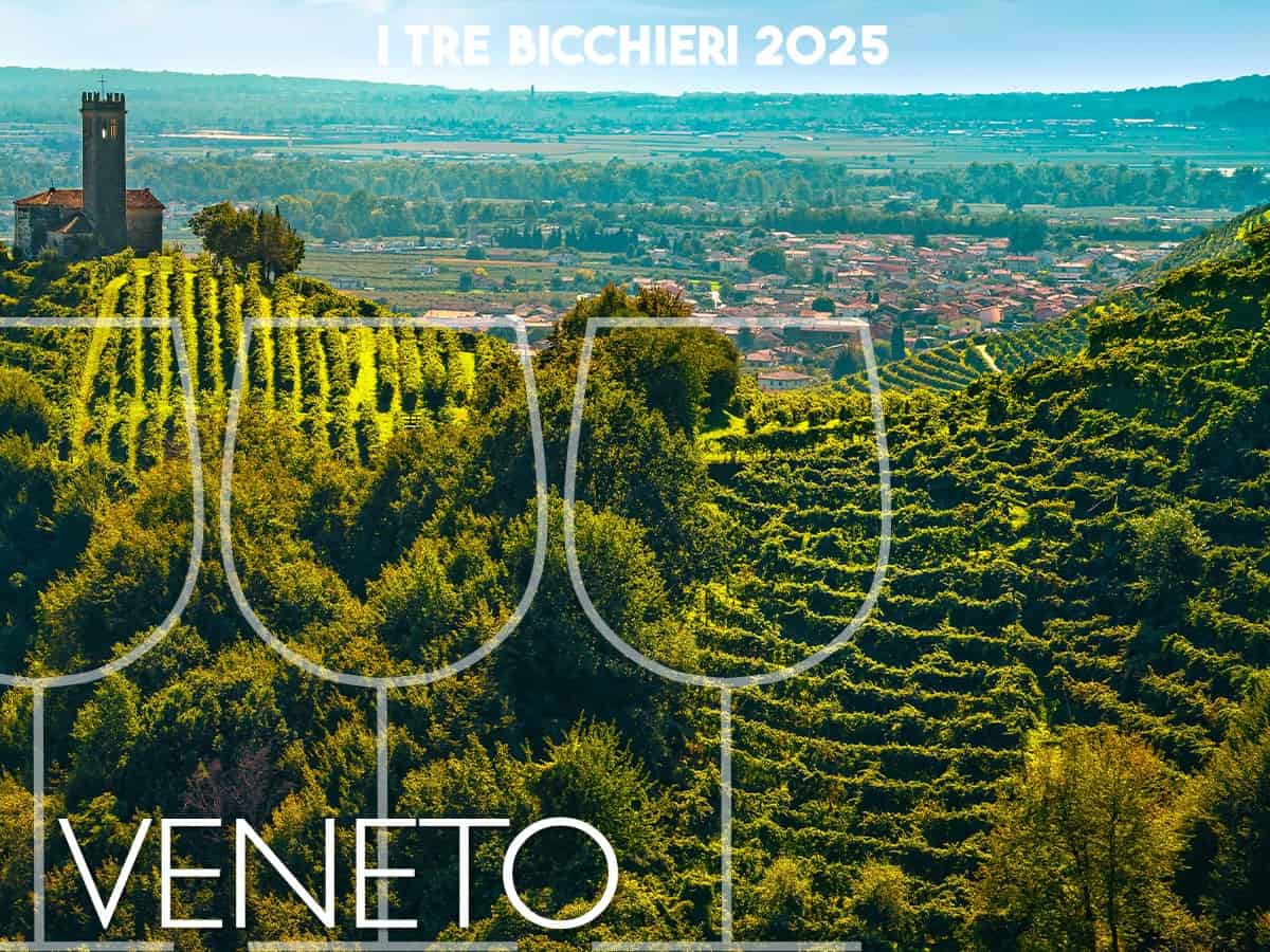 Tre Bicchieri 2025, i migliori vini del Veneto premiati dal Gambero Rosso