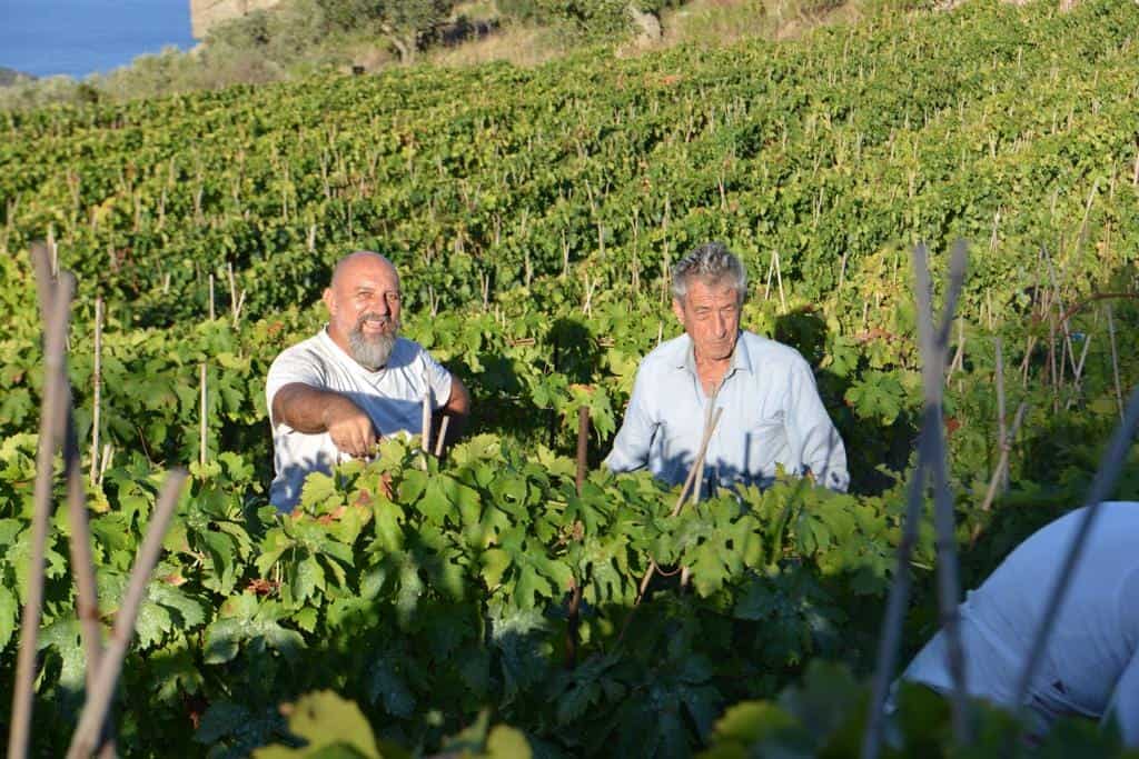 Il vino di confine che ha portato all