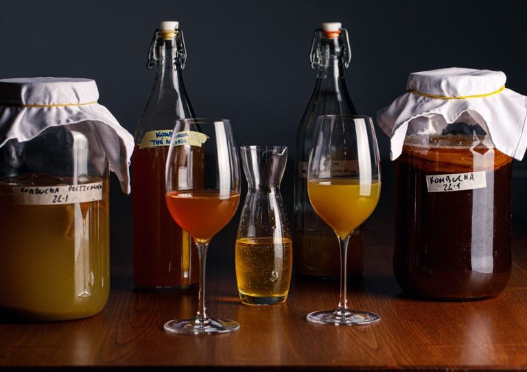 kombucha foto di Alberto Blasetti|Kombucha. Foto di Lido Vannucchi||kombucha ogasa classica||kombucha pao pao Ckassico|Kombucha Casa di Tano|Old Kombucha - Original|