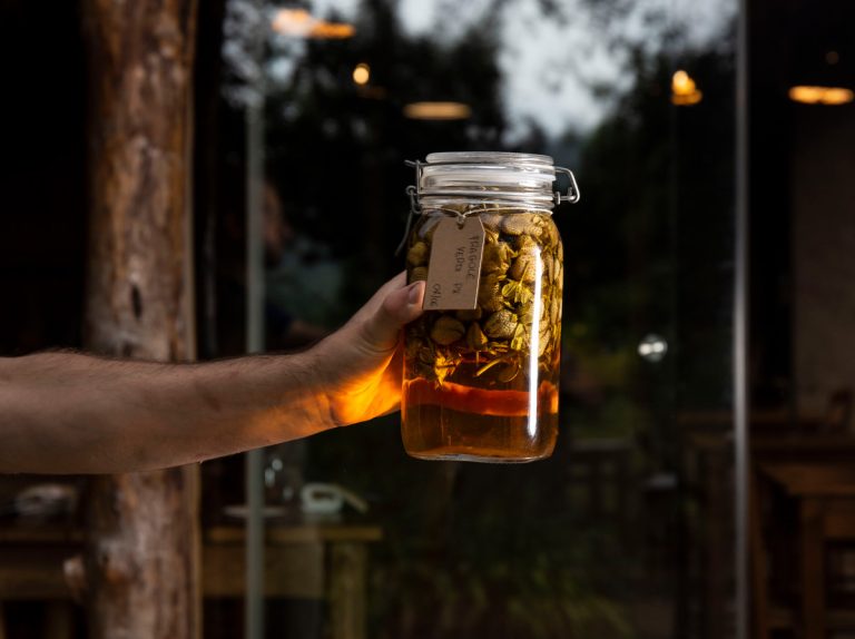 Lavorazione della kombucha - foto di Lido Vannucchi|Lavorazione della kombucha - foto di Lido Vannucchi|Stefano Zamboni -head-brewer - di -Legend -Kombucha - Verona|ricetta kombucha in casa||lista di ristoranti dove degustare kombucha e siti dove acquistarla online