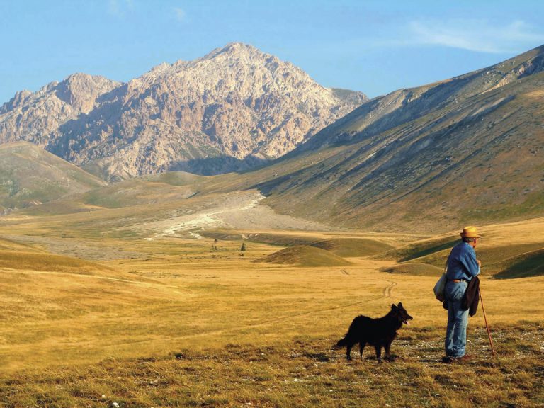 Gran sasso e monti della laga|laquila_Zafferano|||Azienda Agricola Alfonso Papaoli Navelli (AQ)||