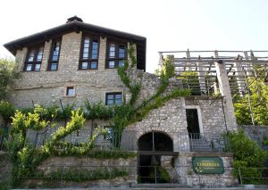 ||Scopri le proprietà e usi in cucina degli agrumi|||