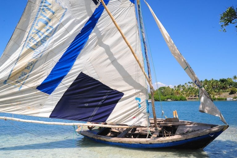 Haiti||Haiti||||trasporto della canna per il Cliarin di Haiti|Fermentazione della canna per il Cliarin di Haiti|||Clairin|trasporto della canna per il Cliarin di Haiti|Haiti|Cliarin di Haiti|trasporto della canna per il Cliarin di Haiti