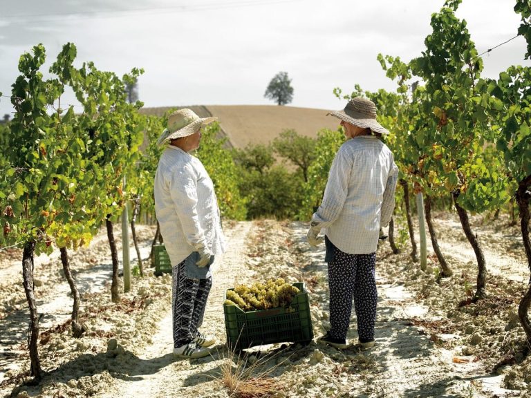 App Percorsi di vino del Consorzio Vini d'Aburzzo|App Percorsi del Consorzio Tutela Vini d’Abruzzo|App Percorsi del Consorzio Tutela Vini d’Abruzzo. Rocca Calascio|App Percorsi del Consorzio Tutela Vini d’Abruzzo. Foto di Renato Cieri - Punta Aderci|App Percorsi del Consorzio Tutela Vini d’Abruzzo