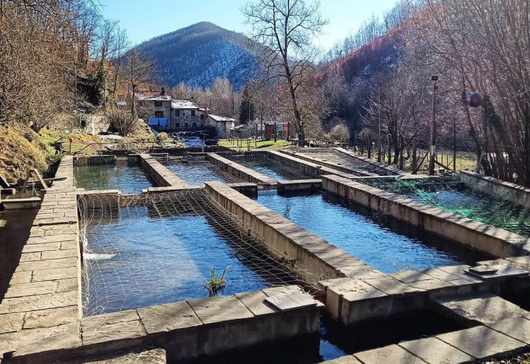 Le vasche al Molin di Bucchio|Il barbo tiberino||Andrea pesca un salmerino|trotelle autoctone del Casentino|Vasche a Molin di Bucchio|L'inizio dell'Arno|Il camino di Molin di Bucchio|La targa della vecchia troticoltura