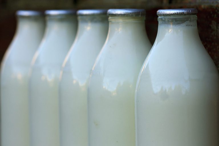 Bottiglie di latte in vetro|grana_padano5||