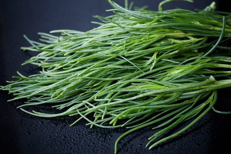 agretti|Orini Insalata ricetta antonia klugmann