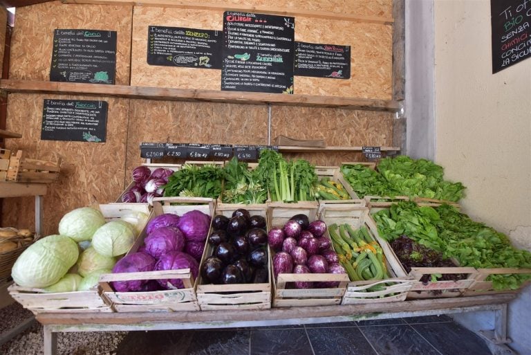la bottega di Capodarco|Animali da Capodarco|la bottega della Coop Coraggio|I prodotti del Casale di Martignano|Cesto di prodotti Orti de I Terzi|Carote da Biocaramadre