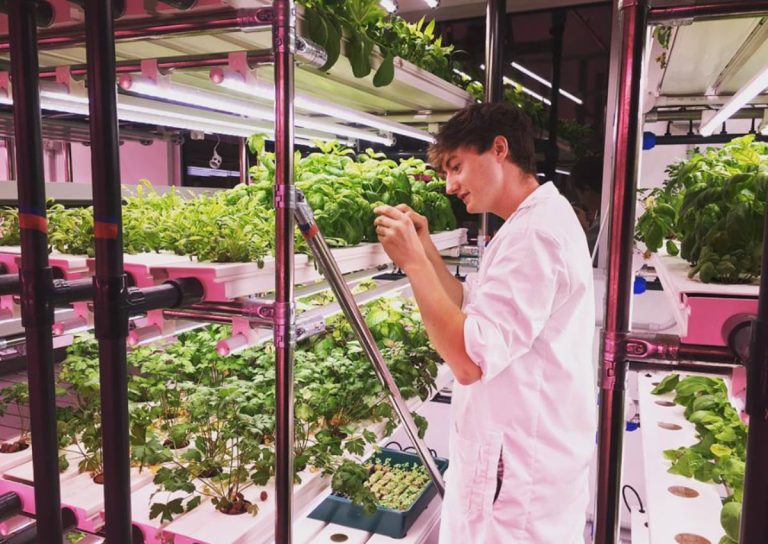 Agricola Moderna||