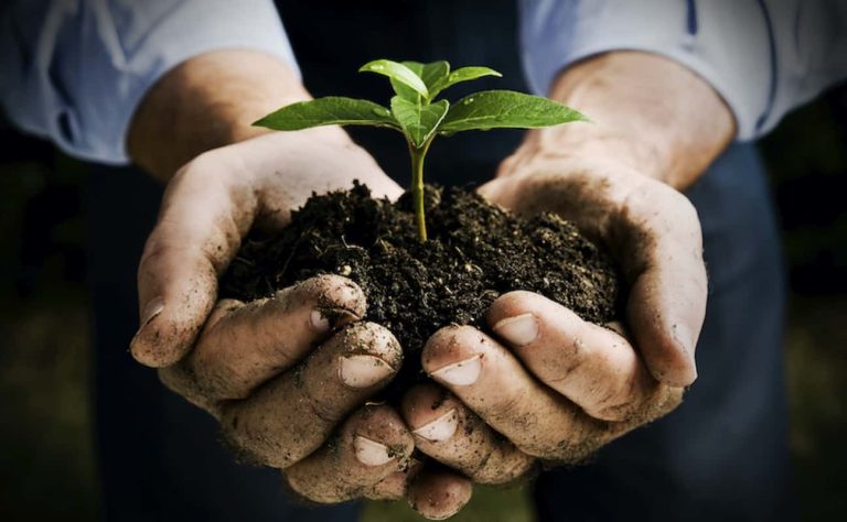 agricoltura-biodinamica-biologica|