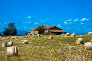 agriturismo in campagna