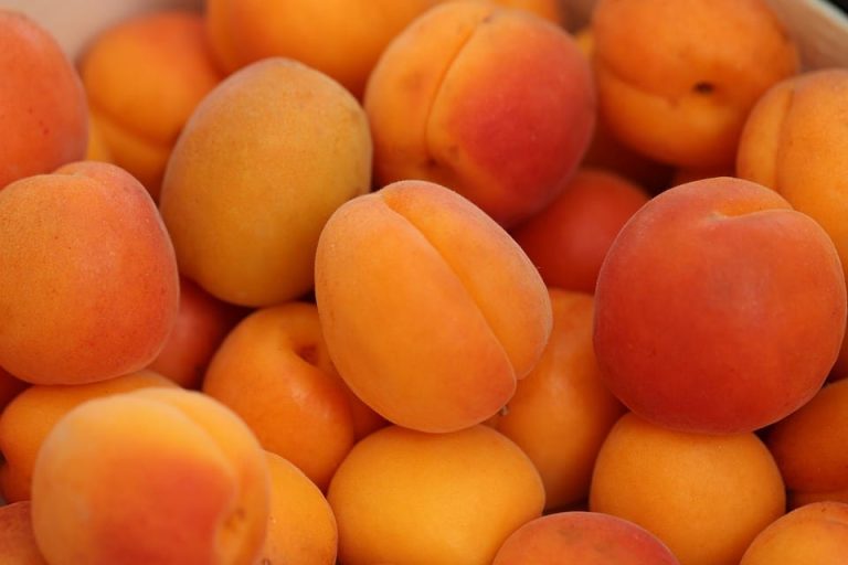 Scopri frutta e verdura di agosto