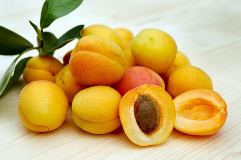 Albicocche|Scopri frutta e verdura di agosto|Scopri frutta e verdura di agosto