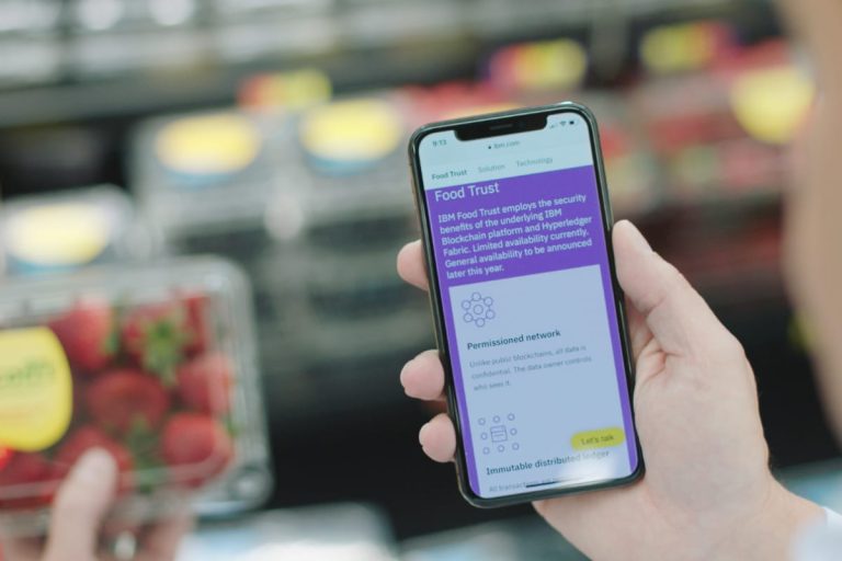 Controllo di un'etichetta su vaschetta di fragole inquadrato con smartphone|foodchain|tziboo