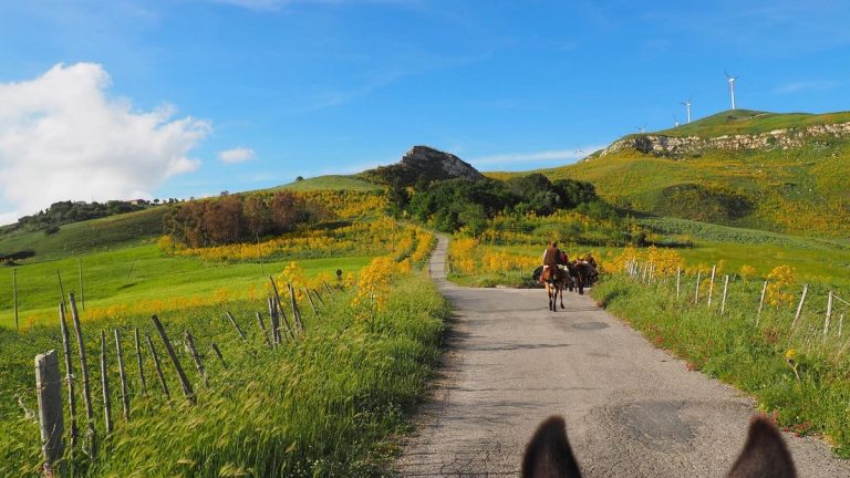 In viaggio con gli asini|Lanzino e il suo asino