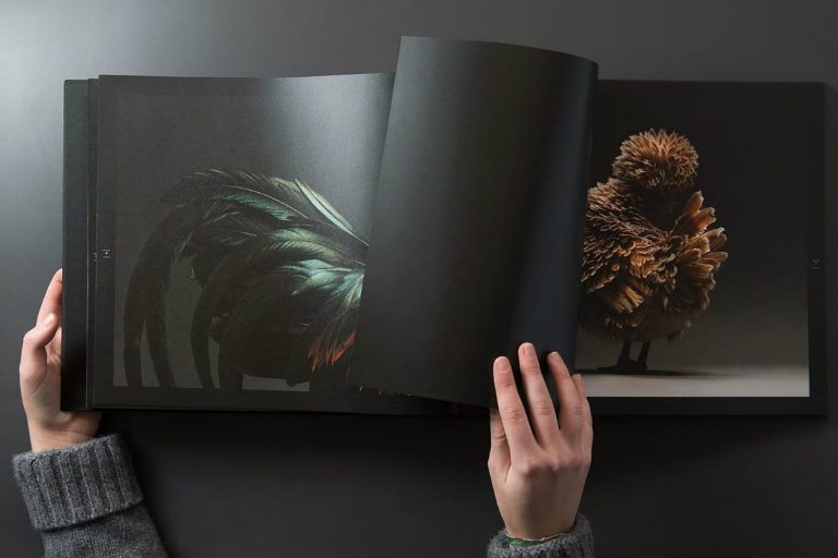 polli libro|polli libro|polli libro|polli libro|polli belli