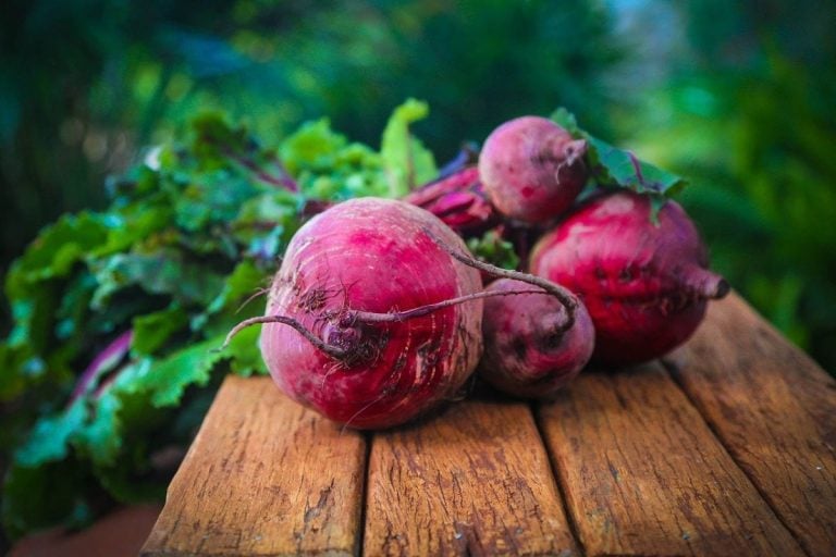 Barbabietola rossa|A Group of red yellow beets Sitting Next to Each Other