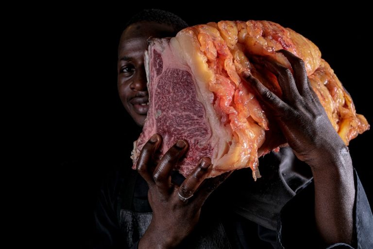 bbq cover||Phil's barbecue|cucina griglia