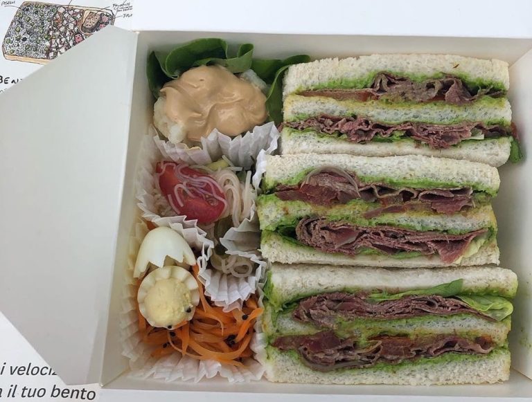 Bento sandwich di Todo Modo|I biscotti di Hiroko|Illustrazione di bento chirashi||Bento con carne e riso|Illustrazione di bento onigiri