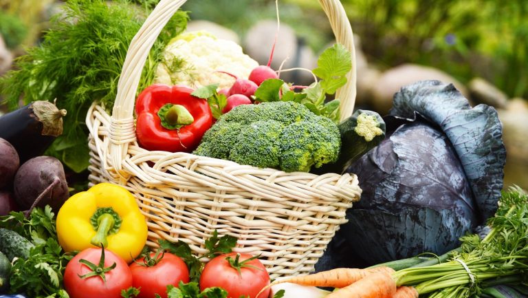 Un cesto di verdure fresche|Crema verdure bambini