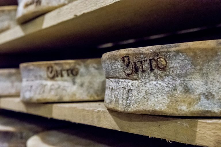 Scopri Sentieri di gusto|Scopri Sentieri di gusto|Scopri Sentieri di gusto