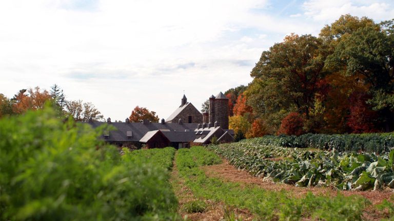 La tenute di Blue Hill at Stone Barns|I prati del ristorante Blue Hill|Diverse varietà di pomodoro da Blue Hill