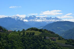 Vista sui vigneti e le montagne altoatesine|Vista da Burg Greifnstein|Botti nella cantina di Gump Hof|I vigneti di Gump Hof|Vista sui vigneti altoatesini|Il viale di ingresso alla Tenuta Kornell|La chiesa di Muri Gries||Prodotti altoatesini|Vigneti intorno a Bolzano|Cartelli escursionistici|Tavolo al Vogele