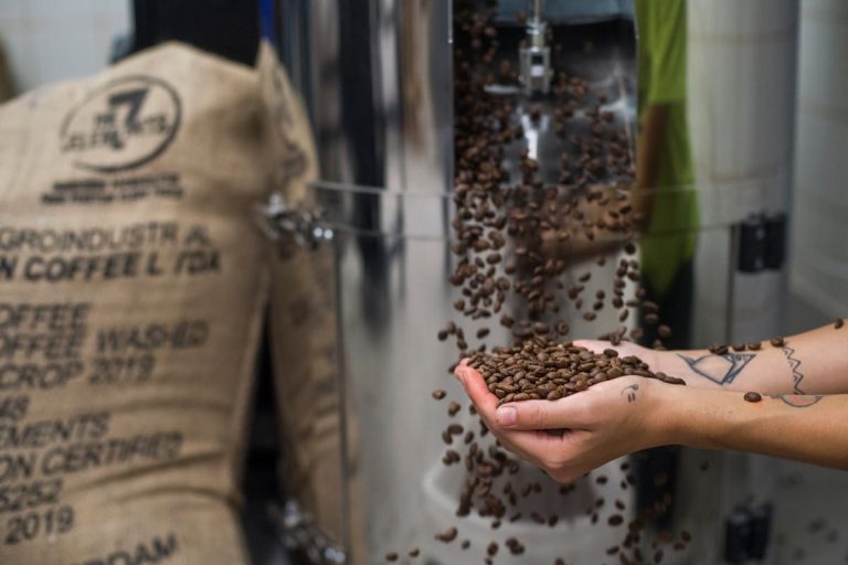 chicchi di caffè|raccolta caffè|pacchi di caffè Brisa|team forno Brisa