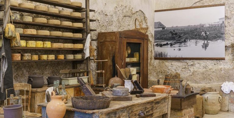 La stanza della conserva con attrezzi contadini|L'officina del buttero|Fuscelle|Una bufala