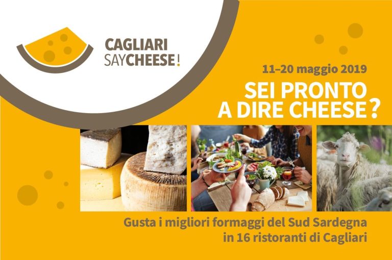 |primo piano di un formaggio di capra a pasta morbida e crosta fiorita|