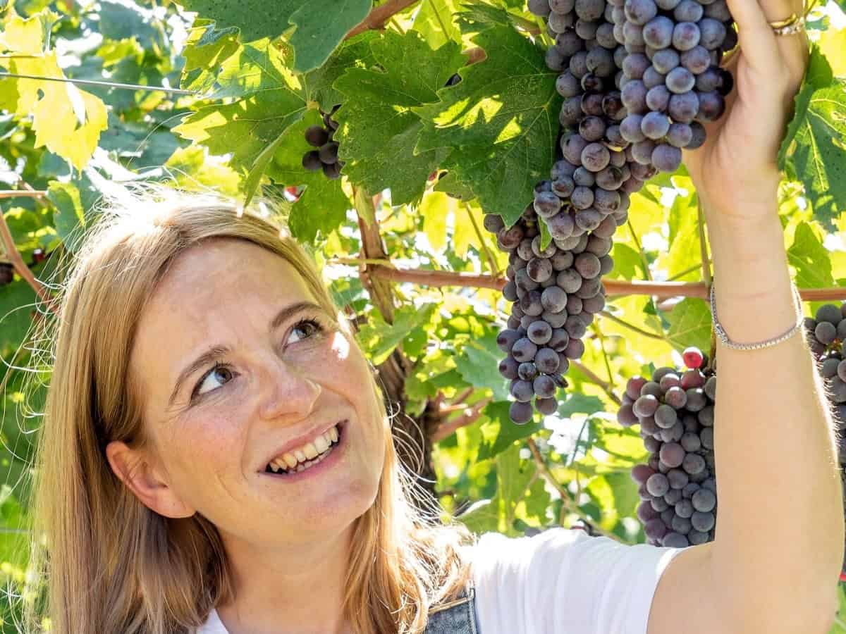 "Le donne del vino devono faticare di più per essere prese sul serio". Così una giovane vignaiola sta cambiando il Negroamaro