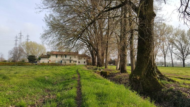 La cascina Campazzino e il parco del Ticinello