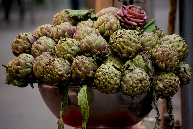 Carciofi romaneschi
